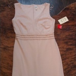 Woman's dress size 12 brand new with tag